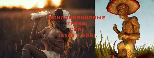 первитин Бородино